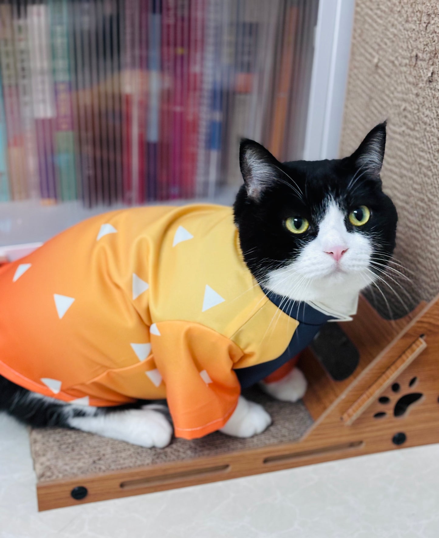 Cat Cosplay Outfit - Demon Slayer Zenitsu-Inspired Costume for Cats & Small Dogs | Anti-Shedding Spring/Summer Wear